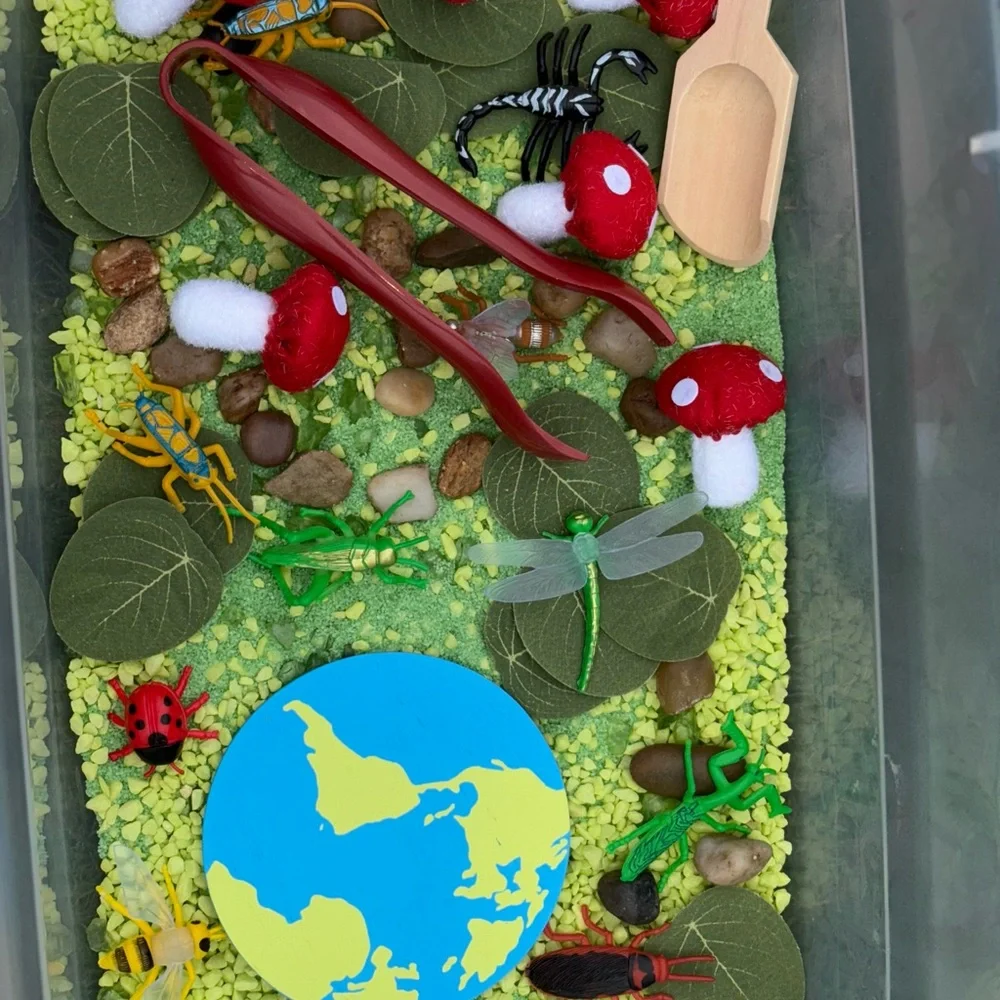 Bug Sensory Bin Kit